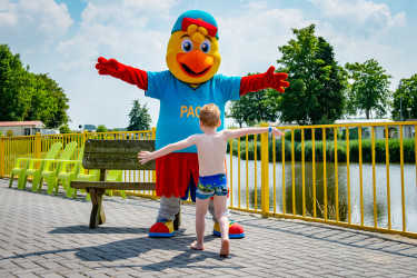 Hoofdafbeelding Zomer.jpg