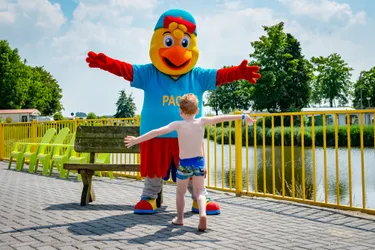 Hoofdafbeelding Zomer.jpg