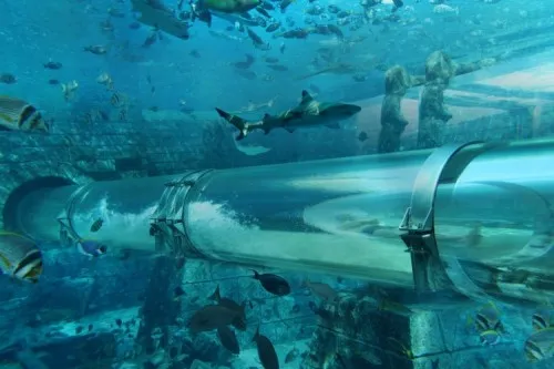 Dubai bezienswaardigheden en excursies