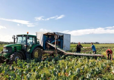 BoerenBed Hoeve Zeeland