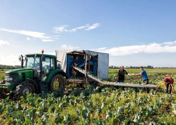 BoerenBed Hoeve Zeeland