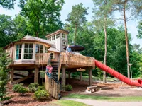 recently watched image