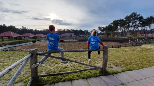 Blijf bij Beekse Bergen overnachten en ontvang gratis toegang tot de Light Safari 