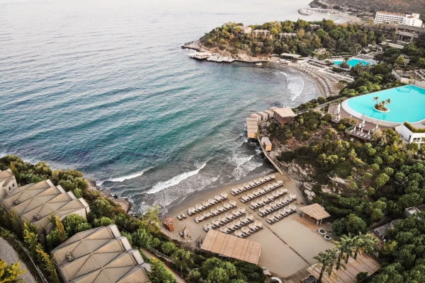 club-marvy-by-paloma (5).jpg