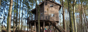 De leukste vakantieparken in Drenthe