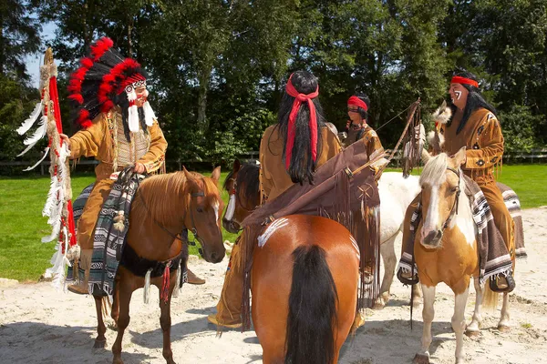 Gratis ponyactiviteiten op het vakantiepark