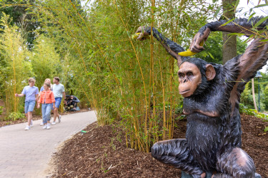 Center Parcs Het Heijderbos (3).jpg