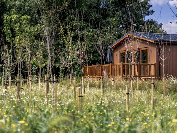 Vakantiepark Rockingham Forest