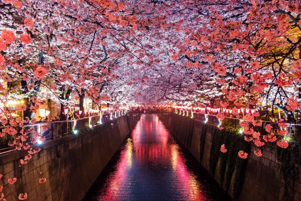 Natuur in Japan