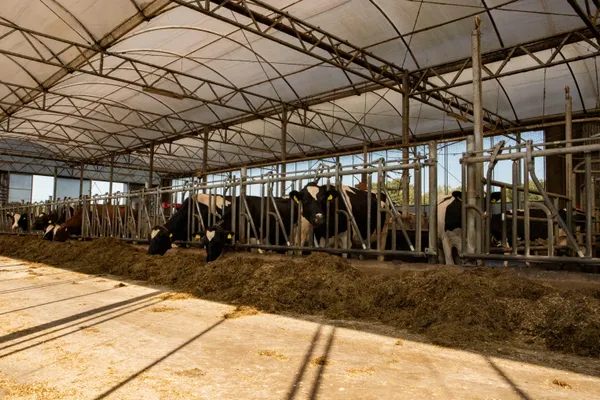 BoerenBed Het Wesselink in Salland