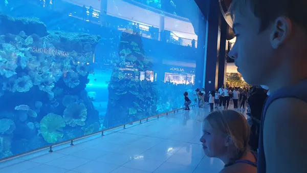 Dubai luxe vakantie