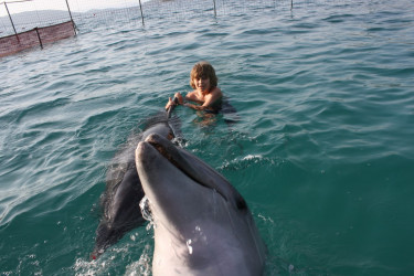 Hotel WOW Bodrum Resort in Gümbet - Turkije