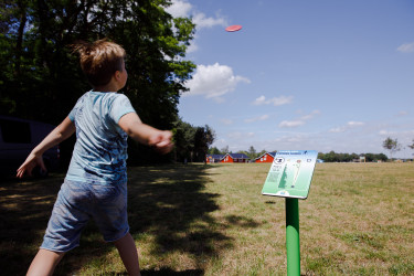 de-flaasbloem (16).jpg