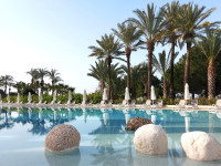 recently watched image