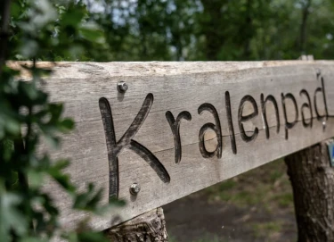 Vakantiepark Westerbergen