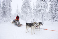 recently watched image