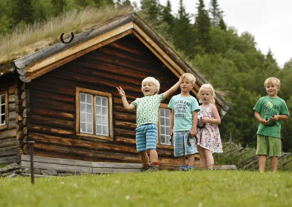 Noorwegen: fjorden, watervallen en spannende bergwegen