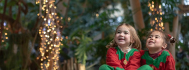 Lekker weg met kerst naar een vakantiepark