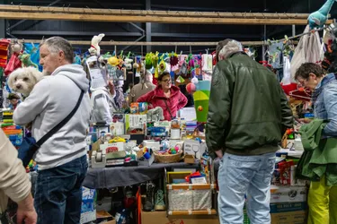 Mega vlooienmarkt in Wunderland Kalkar