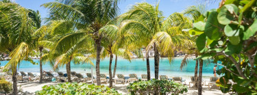 Zomervakantie Curacao