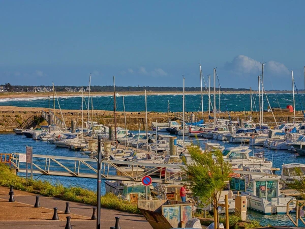 Camping Les Chardons Bleus