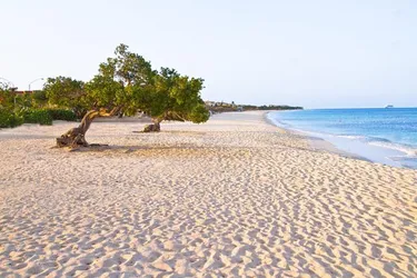 Amsterdam Manor Beach Resort