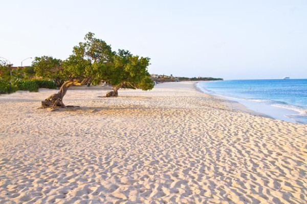 Amsterdam Manor Beach Resort