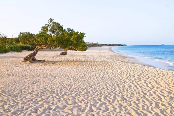 Amsterdam Manor Beach Resort