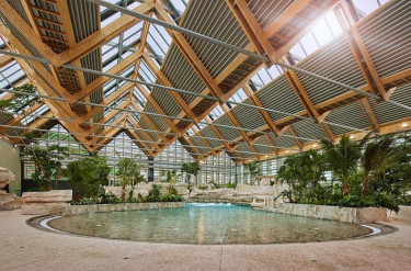 Les Landes de Gascogne