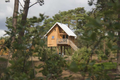 De 'Zwerfhut op hoogte', een unieke houten boomhut-accommodatie verscholen tussen de hoge bomen van de Veluwe op vakantiepark De Wije Werelt.
