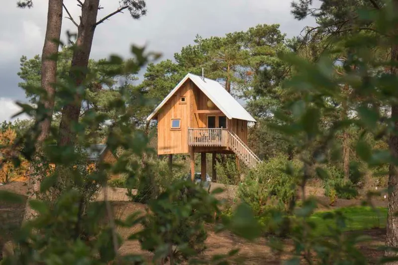 De 'Zwerfhut op hoogte', een unieke houten boomhut-accommodatie verscholen tussen de hoge bomen van de Veluwe op vakantiepark De Wije Werelt.