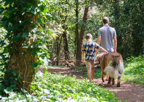 Kampeerdorp De Zandstuve