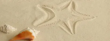 Met papa of mama op vakantie met Eénoudervakantiegids