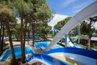 recently watched image