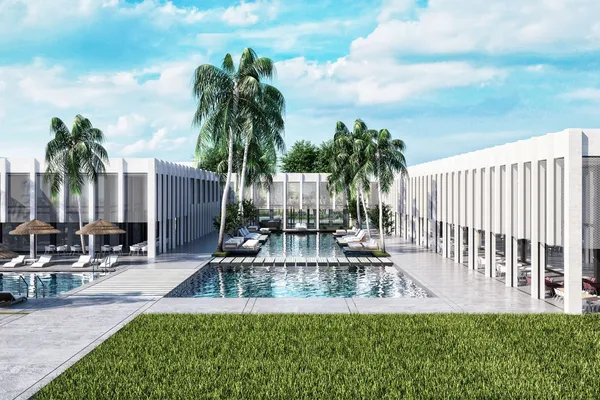 paloma-finesse (7).jpg