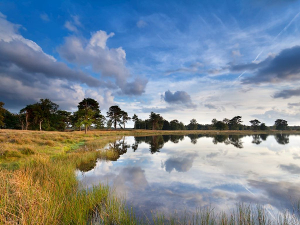 Landal Drentse Lagune