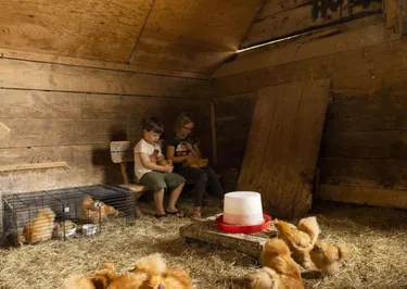 BoerenBed Landgoed Volenbeek