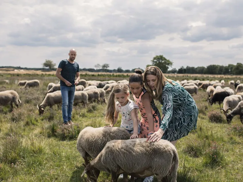 Hoofdafbeelding lente.jpg