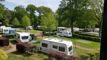 camping-de-bosrand (5).jpg