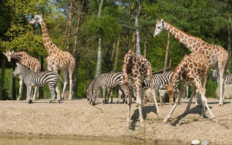 Dierentuin met kleine kinderen
