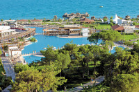 recently watched image