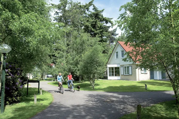 VGE_02_05683 - kopie.jpg