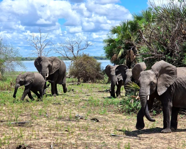 Verre vakanties bij TUI