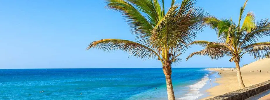 1568381943.jpg