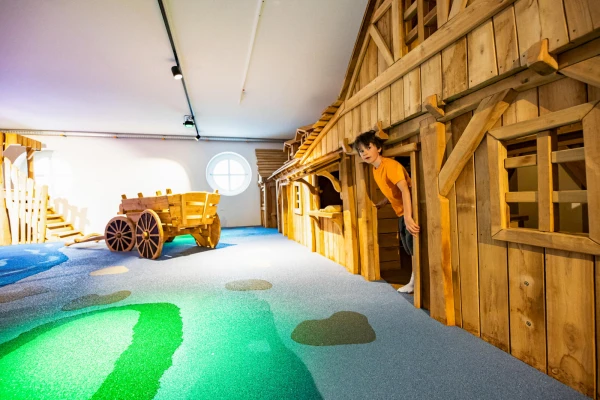 Dormio Resort Eifeler Tor