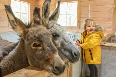 Center Parcs Hochsauerland