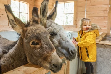 Center Parcs Hochsauerland