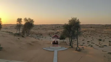 Bedouin Oasis Desert Camp
