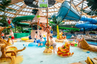 recently watched image