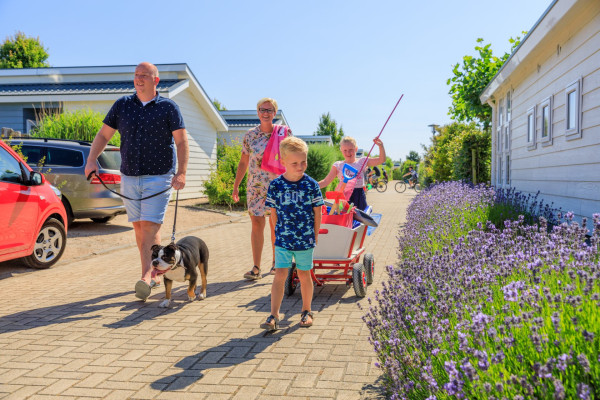 strandpark-de-zeeuwse-kust (16).jpg